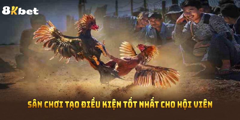 Sân chơi tạo điều kiện tốt nhất cho hội viên