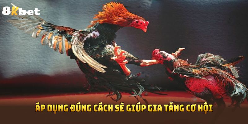Áp dụng đúng cách sẽ giúp gia tăng cơ hội chiến thắng tại 8KBET