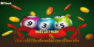 Nuôi Lô 7 Ngày - Cách Tiến Gần Đến Những Con Số May Mắn 